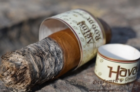 Aging Room Havao Treble Toro