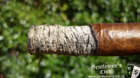 Arturo Fuente Don Carlos No. 4