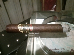 Ashton VSG Robusto