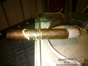 Ashton VSG Robusto