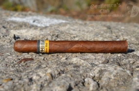 Cohiba Siglo III