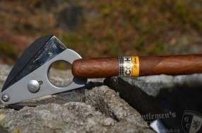 Cohiba Siglo III