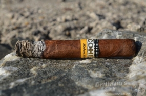 Cohiba Siglo III