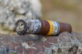 Cohiba Siglo III