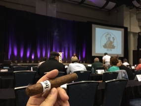 IPCPR 2015