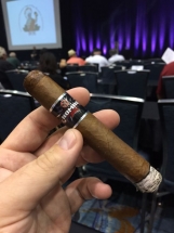 IPCPR 2015