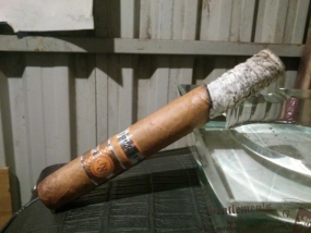 Rocky Patel Autumn Collection 2008 Connecticut Toro5