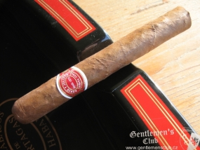 Romeo y Julieta Mille Fleurs