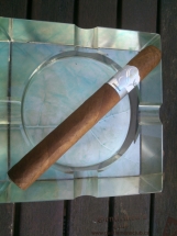 Sencillo Platinum Short Churchill