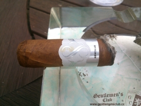 Sencillo Platinum Short Churchill