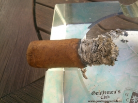 Sencillo Platinum Short Churchill