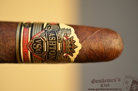 Ashton VSG Enchantment