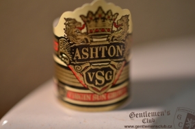 Ashton VSG Enchantment