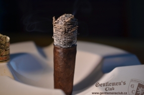 Ashton VSG Enchantment