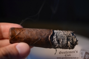 Ashton VSG Enchantment